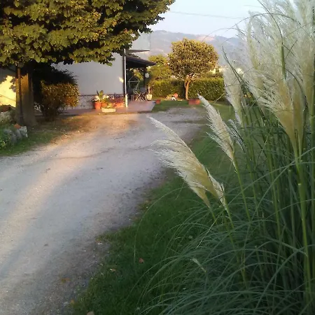 B&B Il Tiglio-3